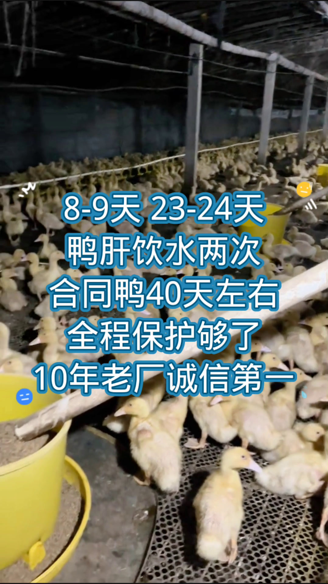 病毒性鸭肝饮水抗体