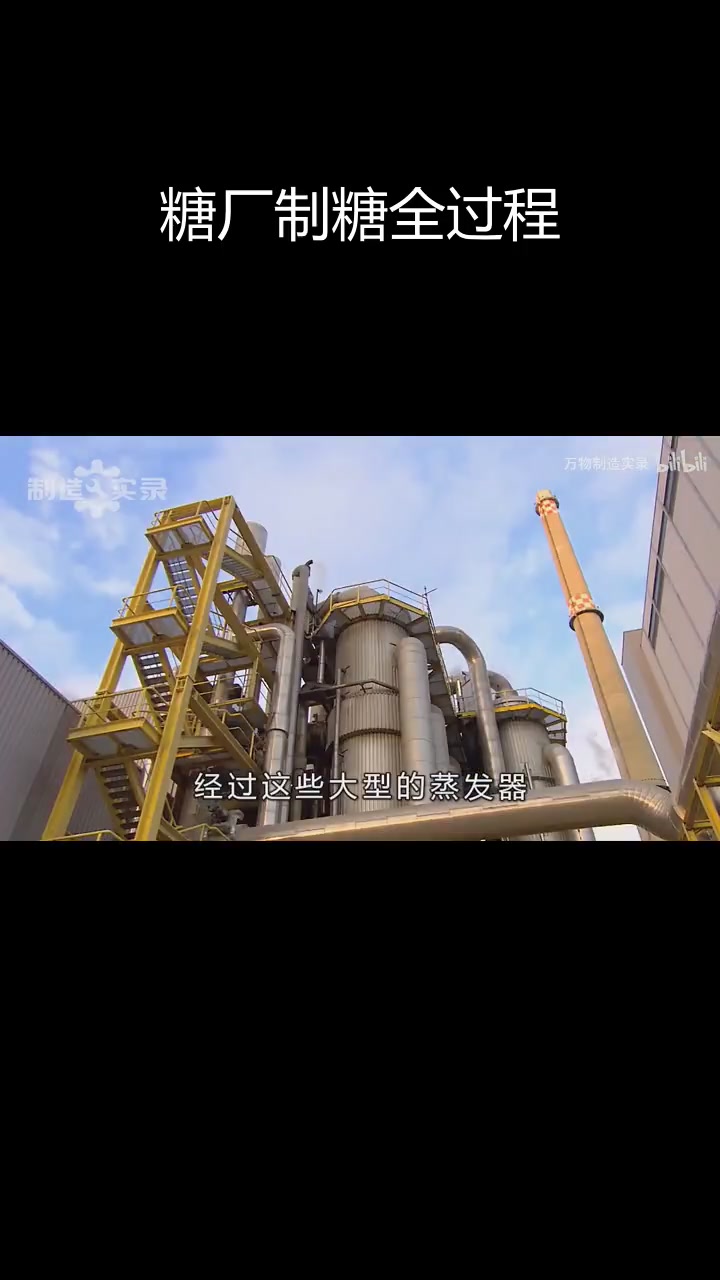 甜菜如何变成白糖?