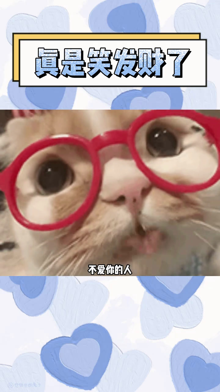 这鱼也是可怜 鱼 海洋馆