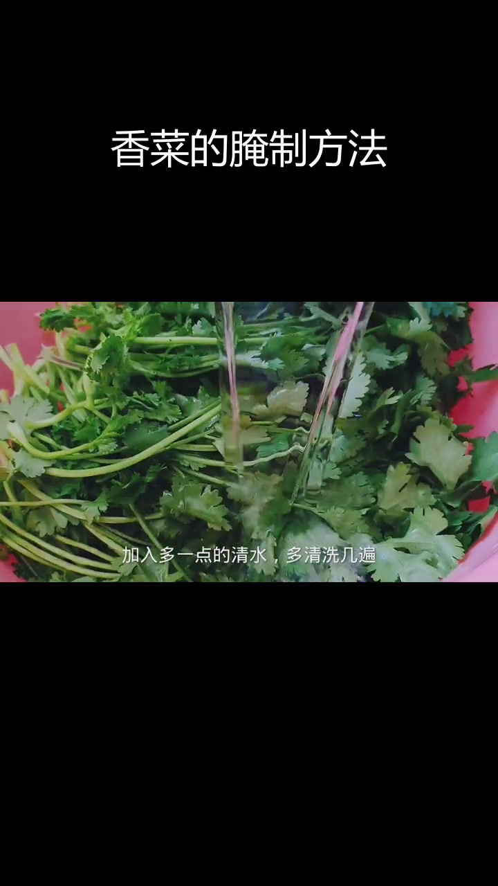 香菜腌存半年不坏,颜色依旧翠绿