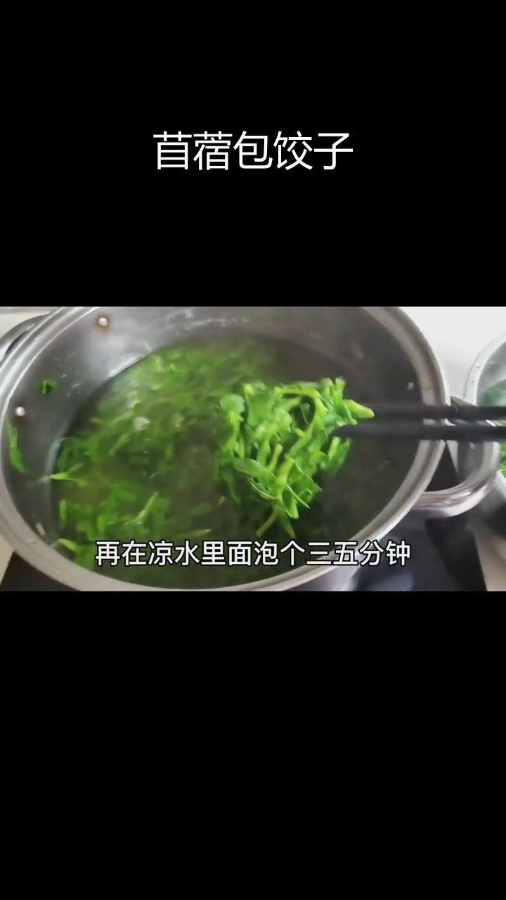 春天野菜新吃法:苜蓿馅饺子