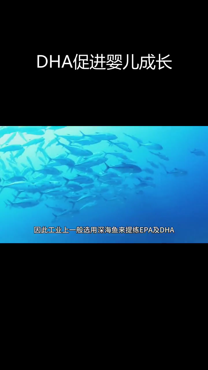 鱼肝油中的DHA对婴幼儿发育至关重要
