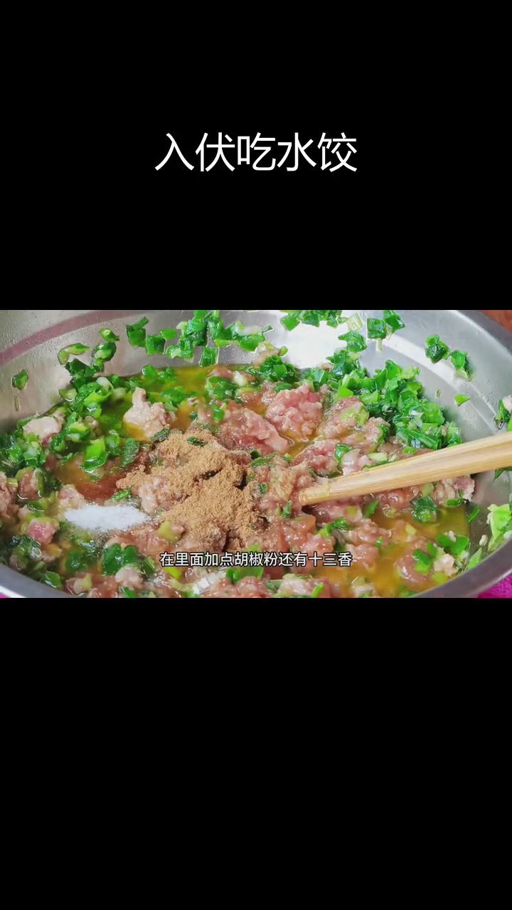 冻韭菜素馅饺子,豆角猪肉更香