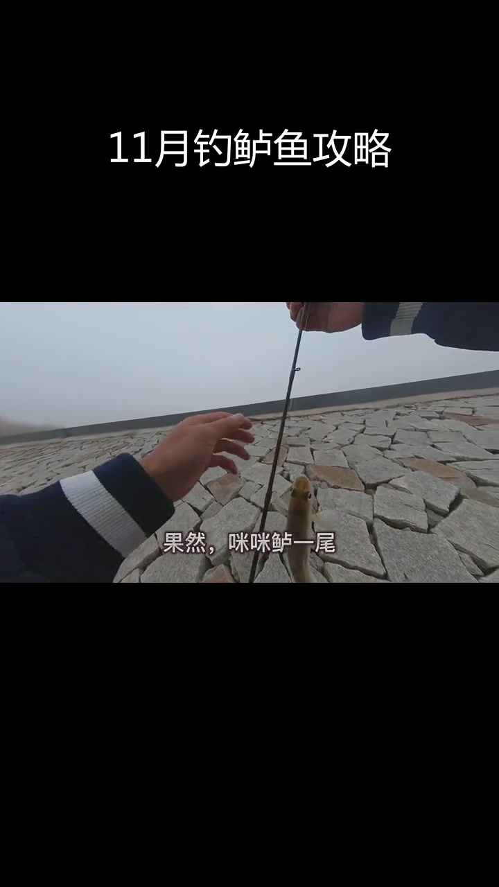 11月路亚钓鲈鱼技巧
