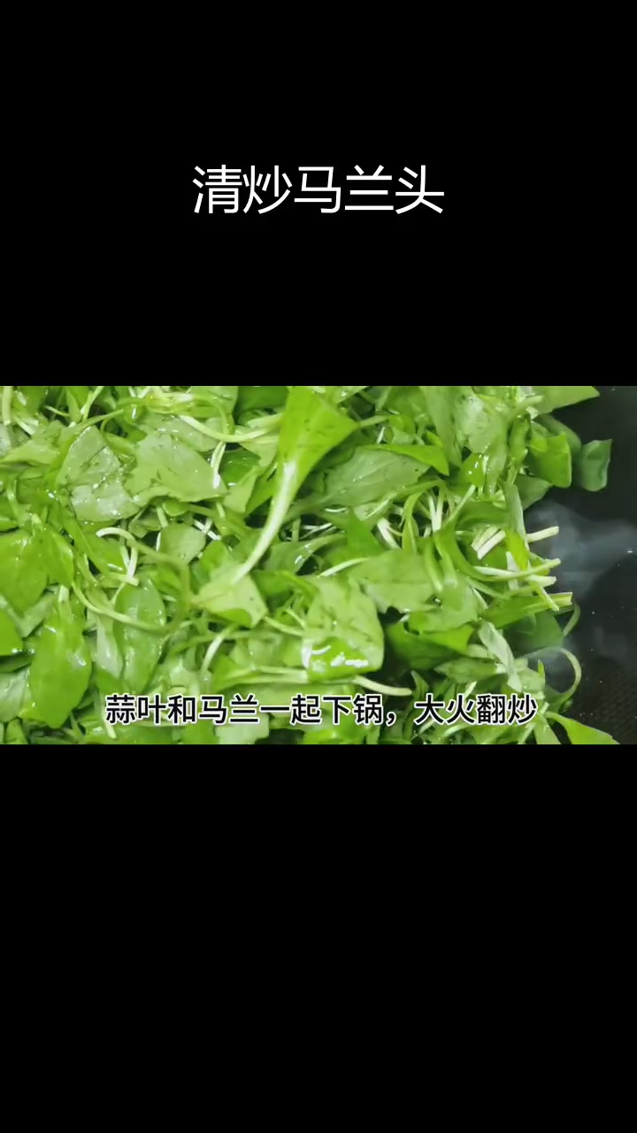 春季护眼必备马兰头,清爽美味做法