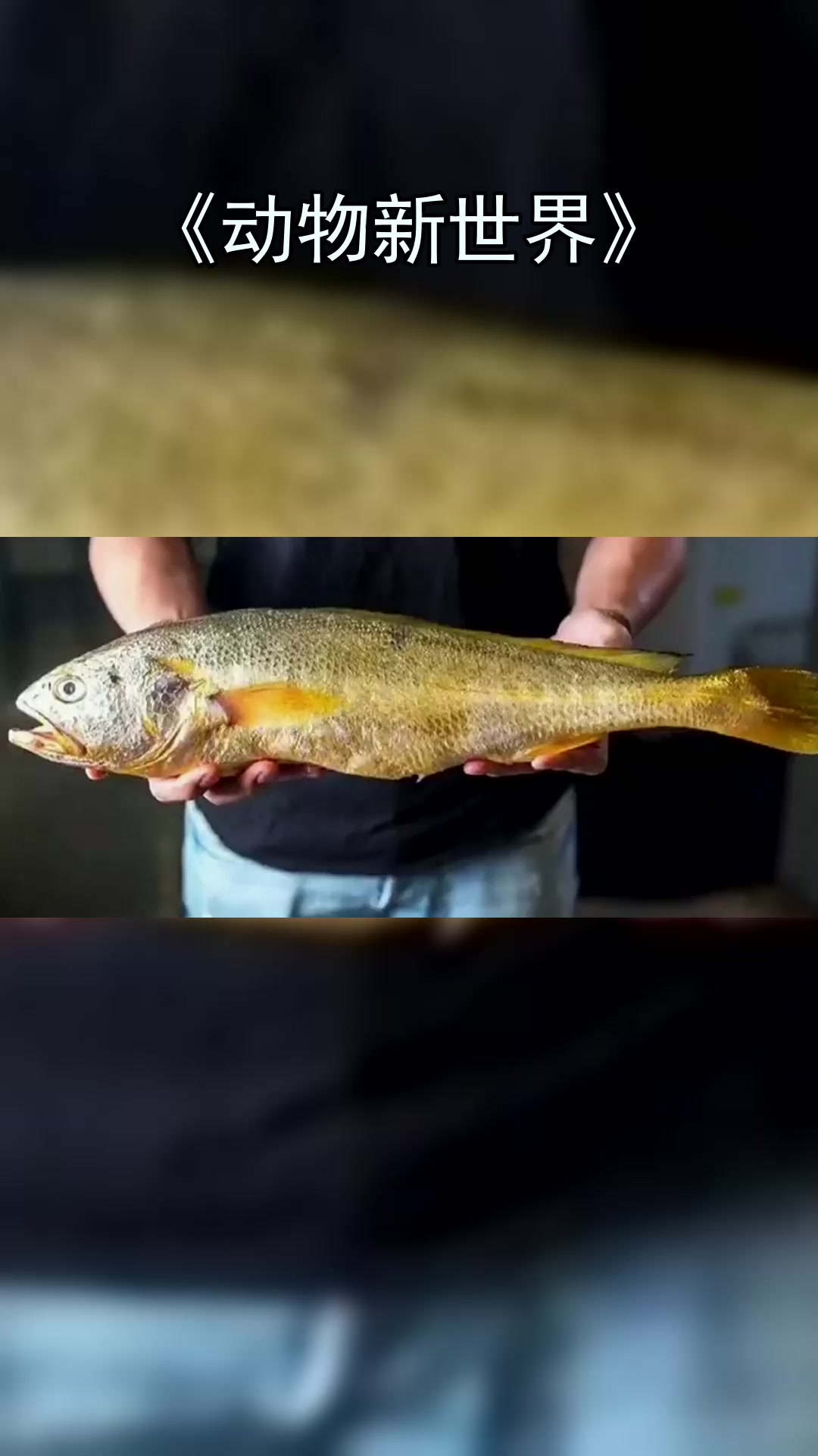 璀璨科学星野生为何这么贵?比绝户网更毒辣的捕鱼方式