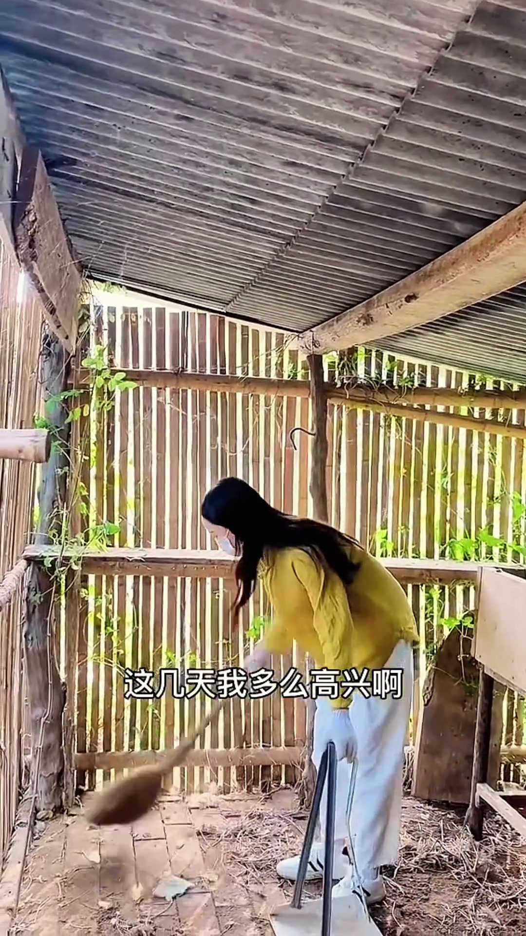 好可爱的小鸡宝宝