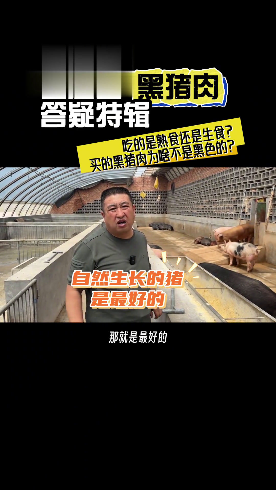 买了黑猪肉怎么皮不是黑色的?