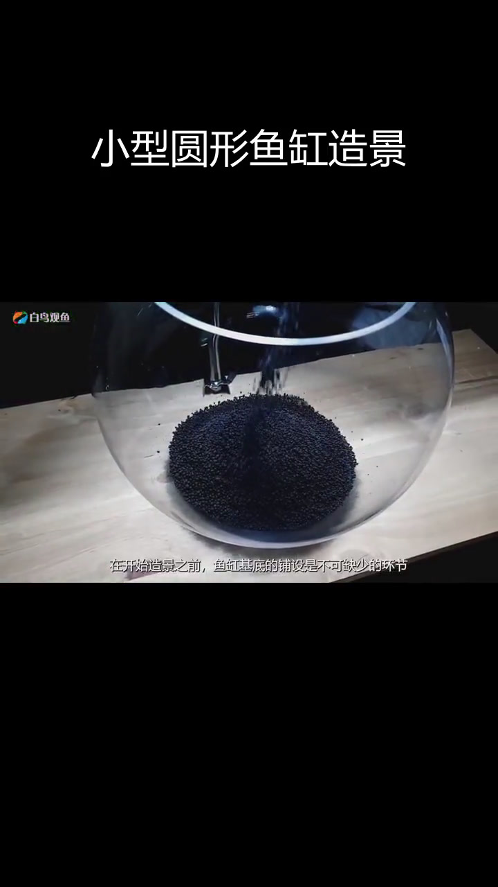 自然风格鱼缸造景,办公室必备