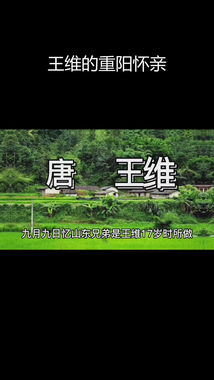 思乡之情与孤独感:王维的重阳诗