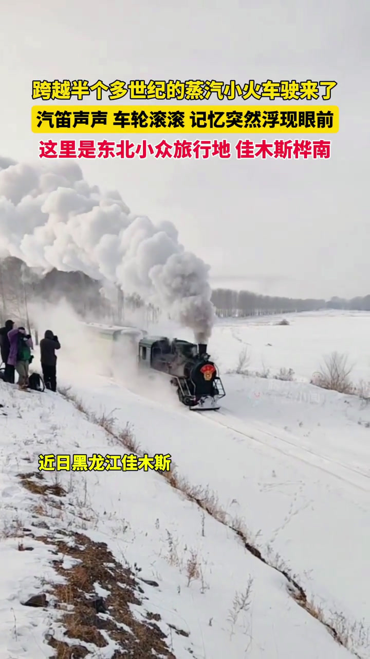 近日黑龙江佳木斯,跨越半个多世纪的蒸汽小火车驶来了,汽笛声声,车轮滚滚,记忆突然浮现眼前,