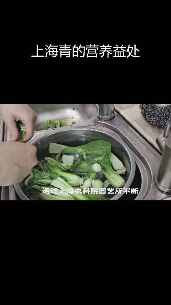 上海青的由来与营养价值