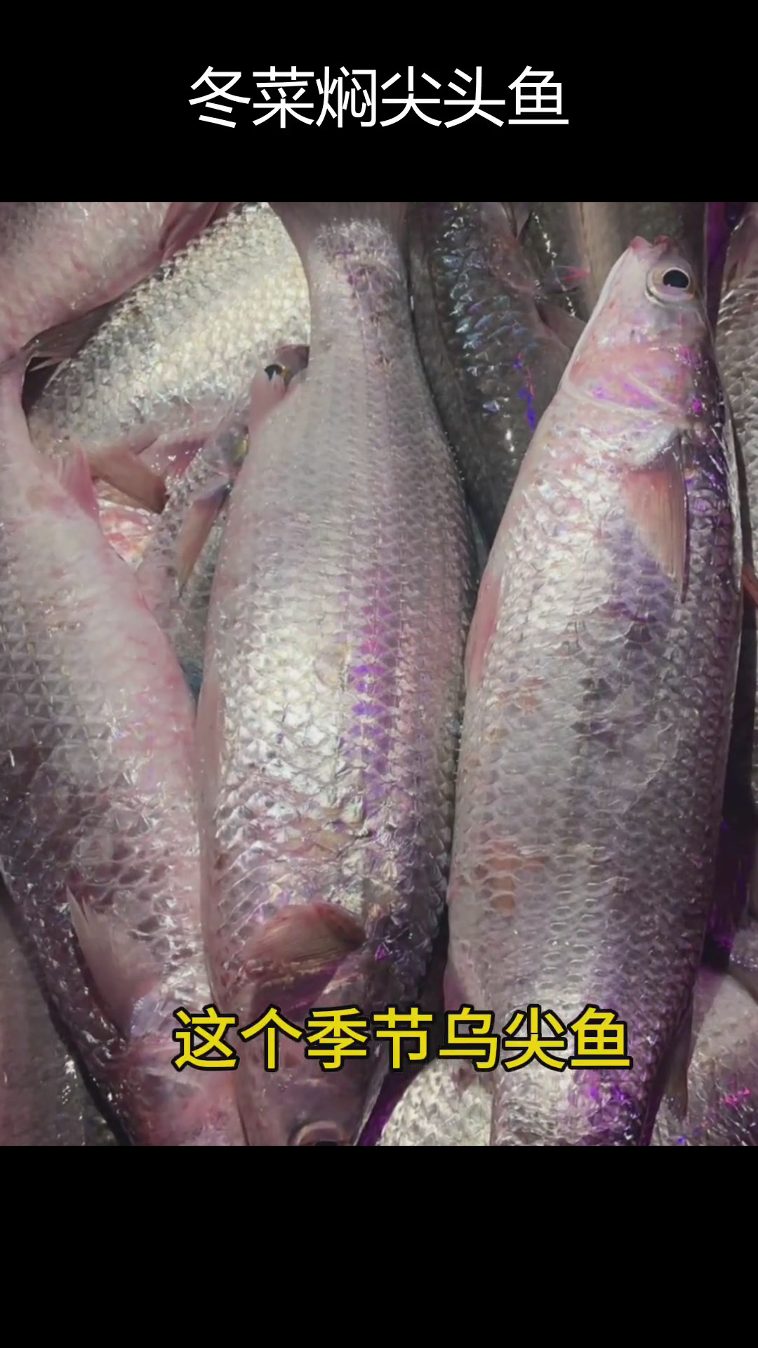 潮汕风味冬菜焖鱼