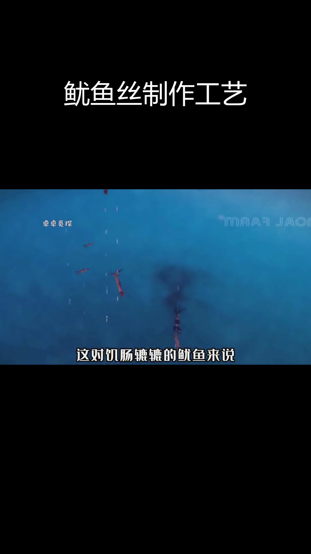 鱿鱼丝加工全过程揭秘,辣条味是如何诞生的?