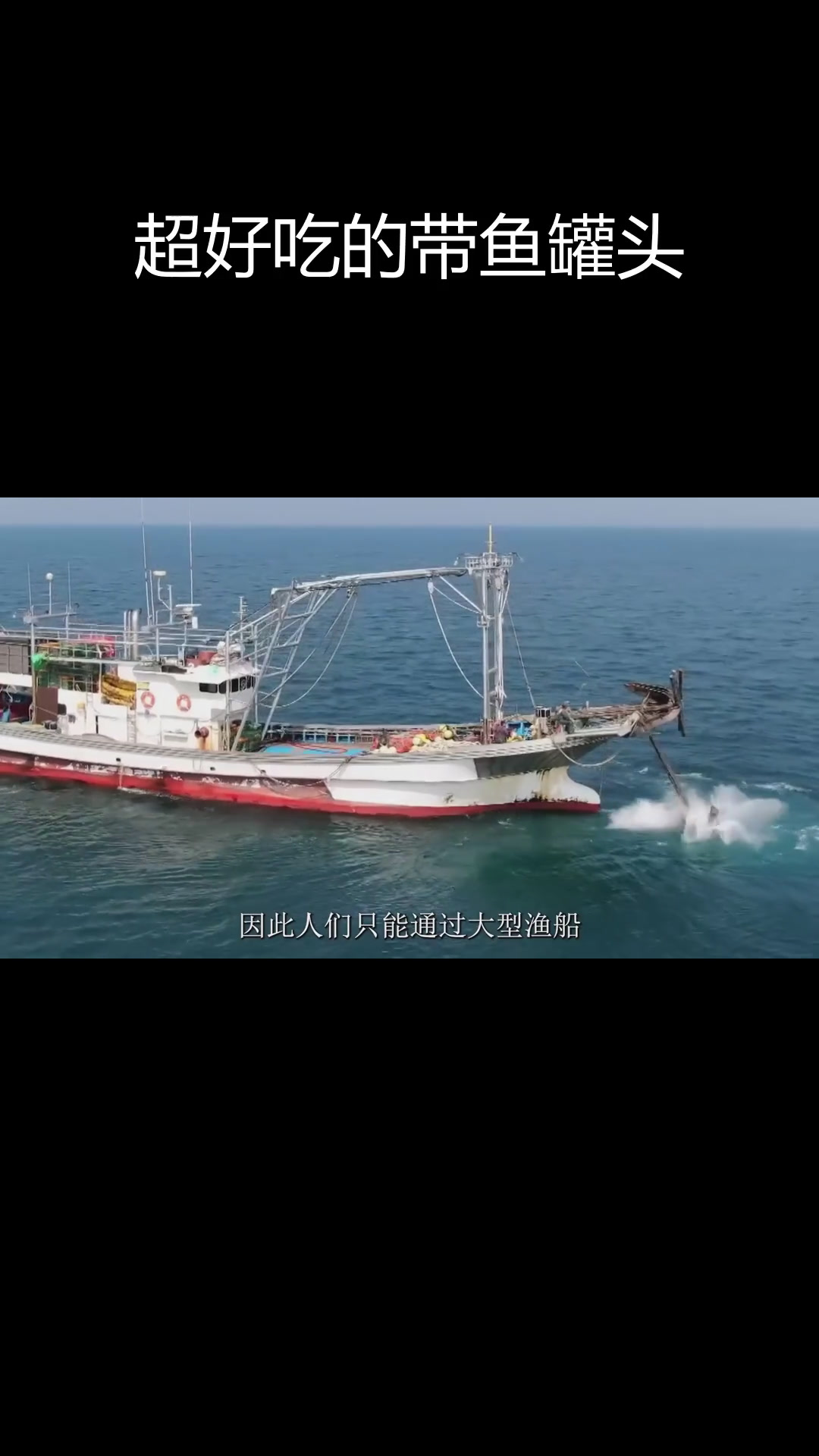 深海带鱼罐头,鲜美又营养