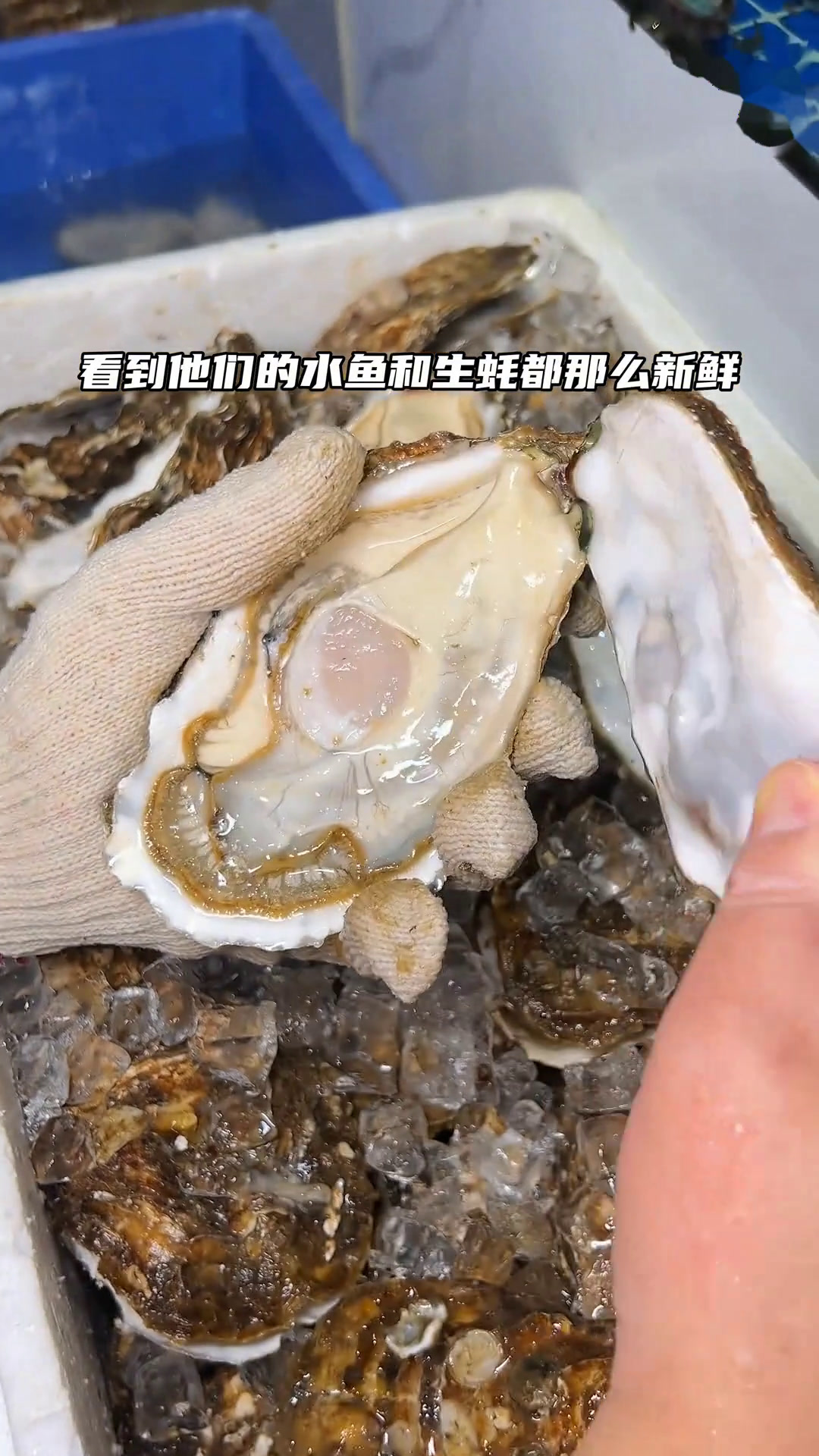 拱北口岸过来10分钟!人均50多吃水鱼生蚝鸡火锅珠海旅游攻略珠海美食天儿冷吃点啥拱北口岸珠