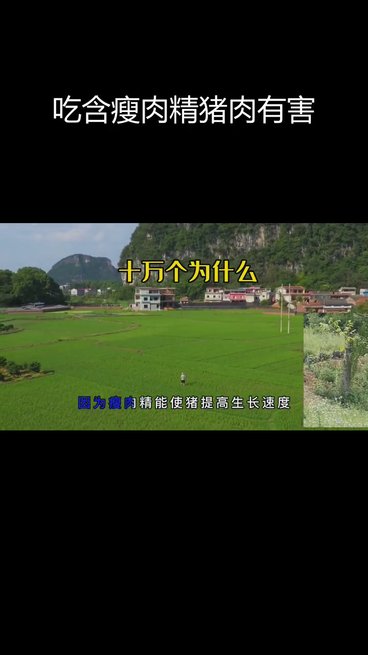 瘦肉精猪肉的危害与风险