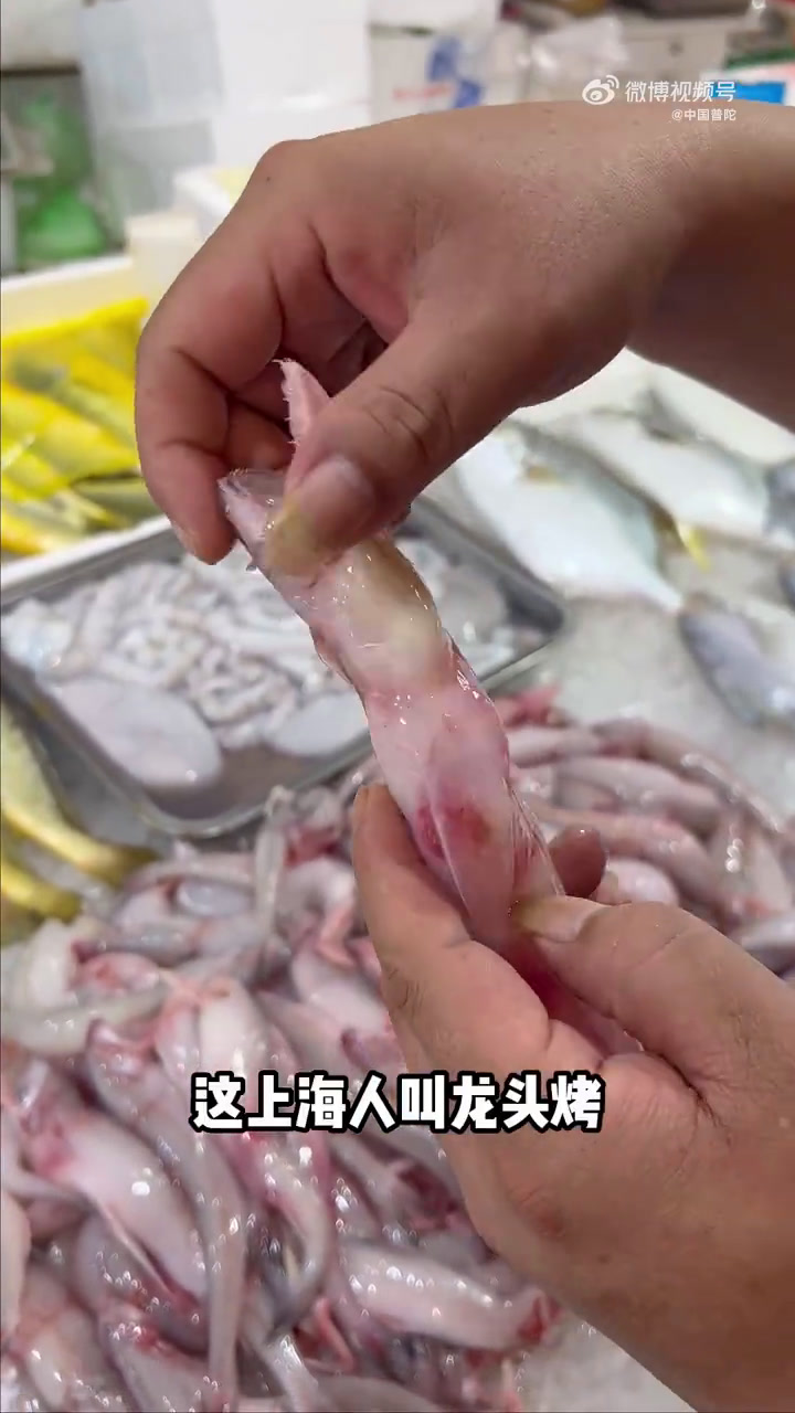 舟山海鲜怎么挑?夜排档老板有绝招,今天教你挑白豆腐鱼