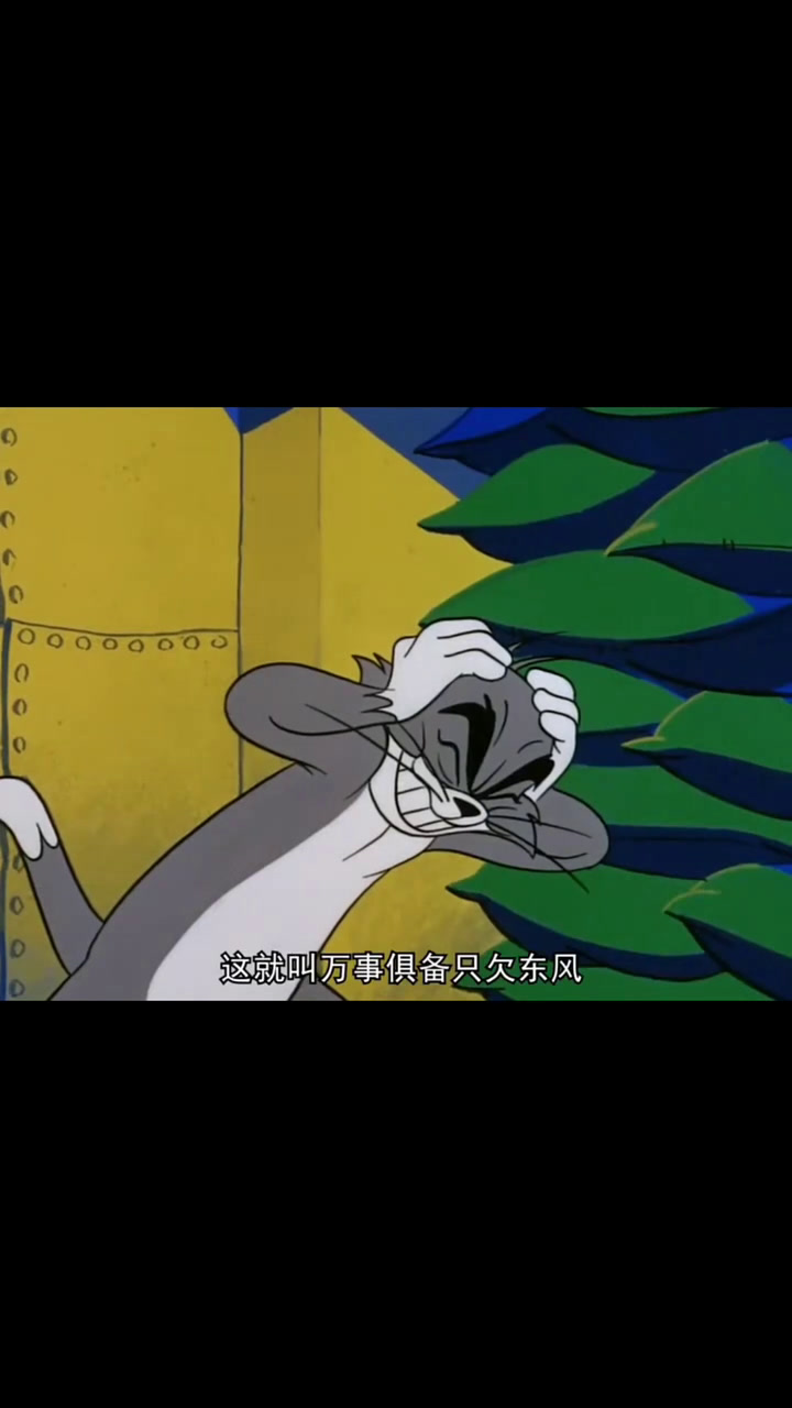 汤姆和杰瑞