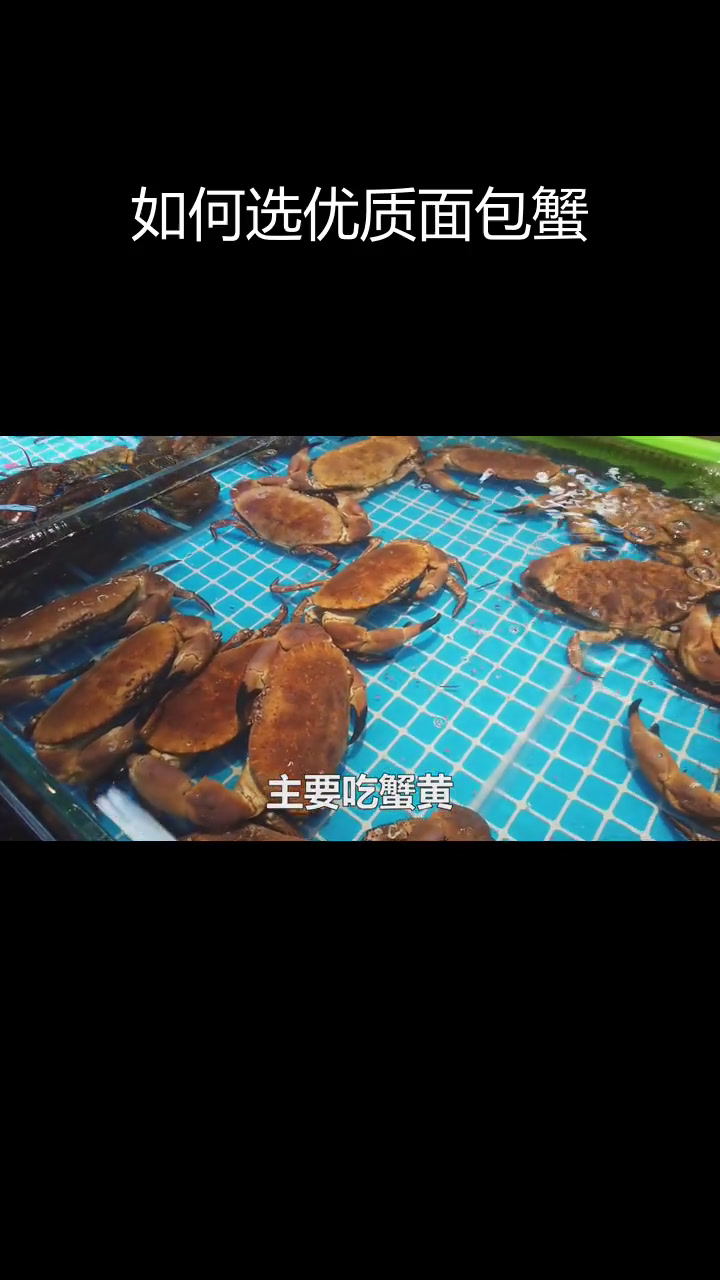 面包蟹的产地与挑选技巧
