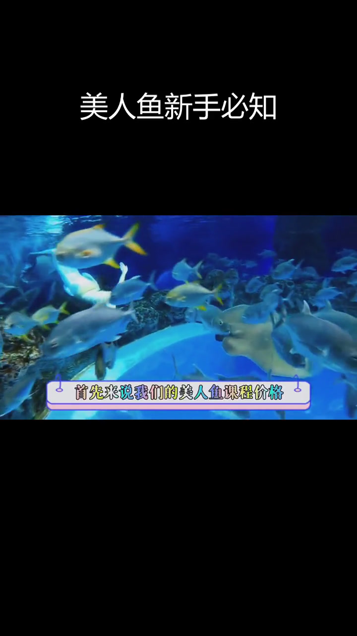 新手美人鱼入门指南:价格与技巧解析