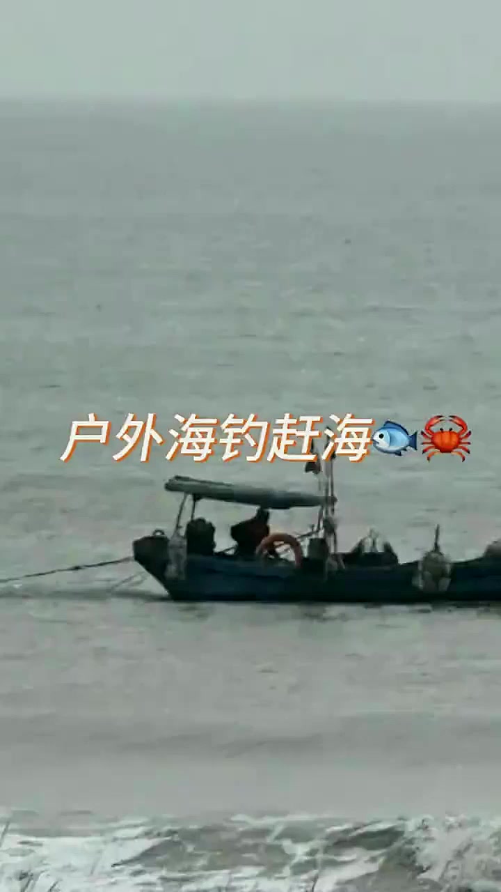 男人用二十斤重的巨型黄貂鱼当诱饵,在大桥上海钓巨型石斑!5