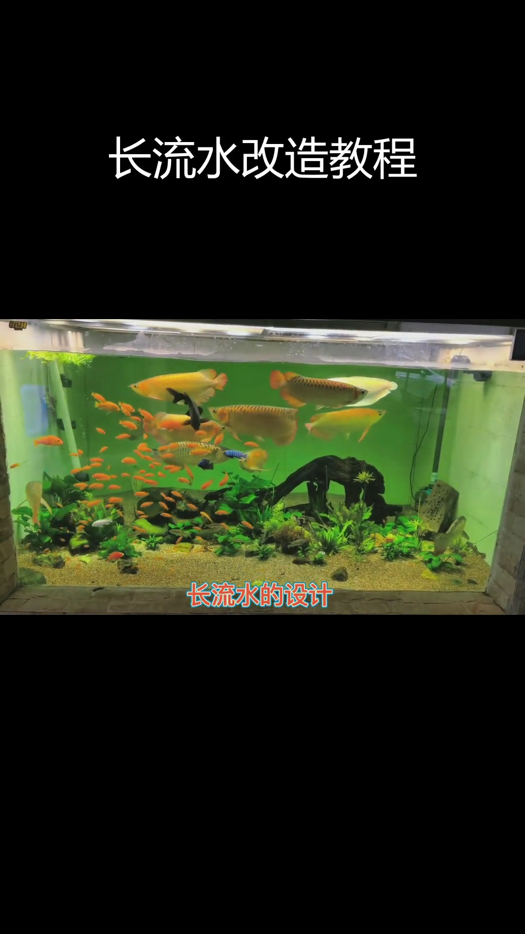 上滤缸长流水设计解析