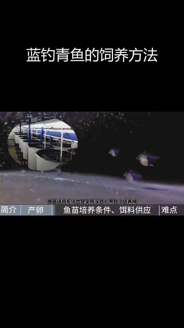 黄尾副刺尾鱼的生活习性与养殖技巧