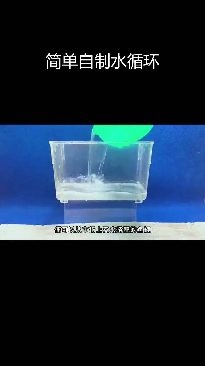 用饮料瓶和吸管制作简易水循环装置,轻松养鱼
