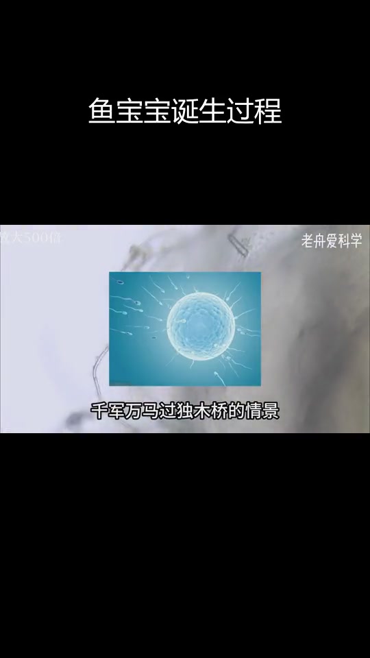 鱼卵孵化揭秘:长毛的奥秘