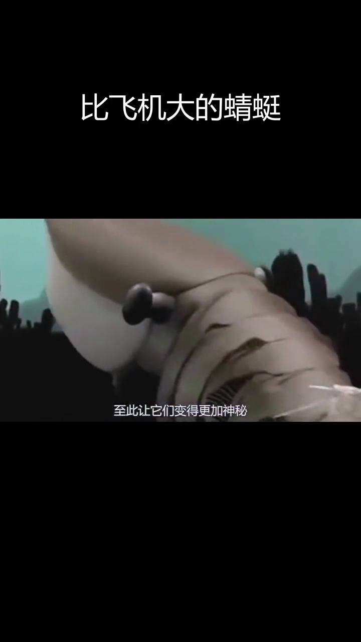 恐龙出现前十大恐怖生物,海神盔虾与巨型螃蟹