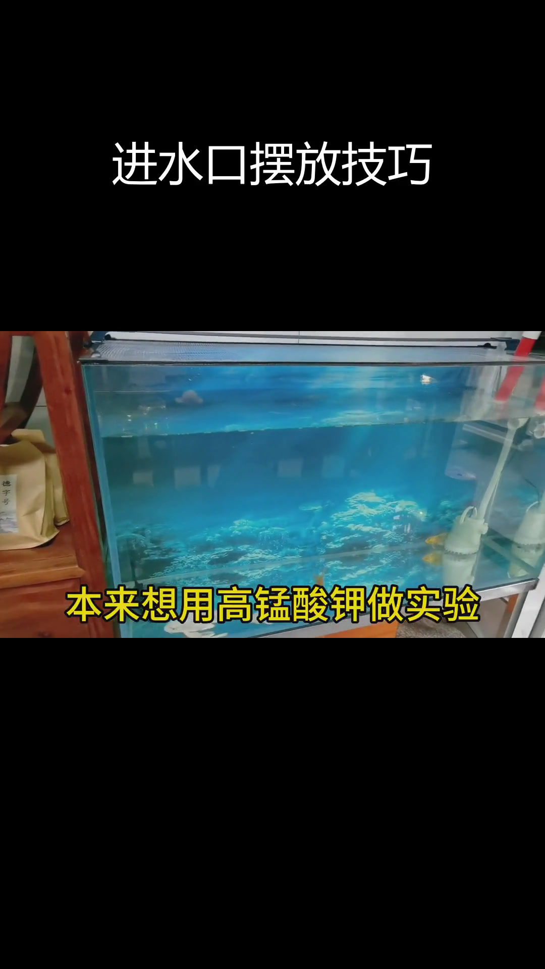 鱼缸进出水口最佳位置,清理更彻底