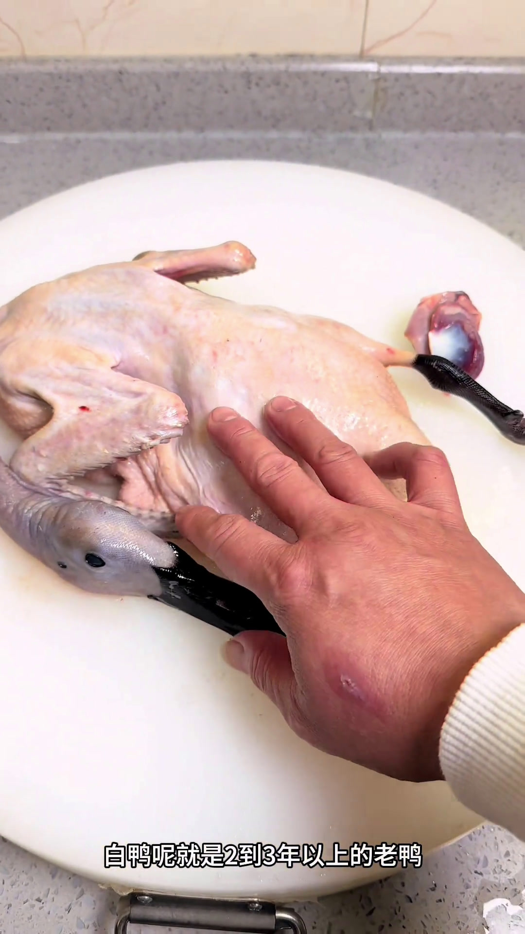 附近美食美食分亨生态散养家常美味同城美食当地特色美食