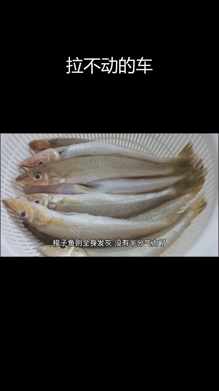 三个朋友合力拉车,结果却令人惊讶