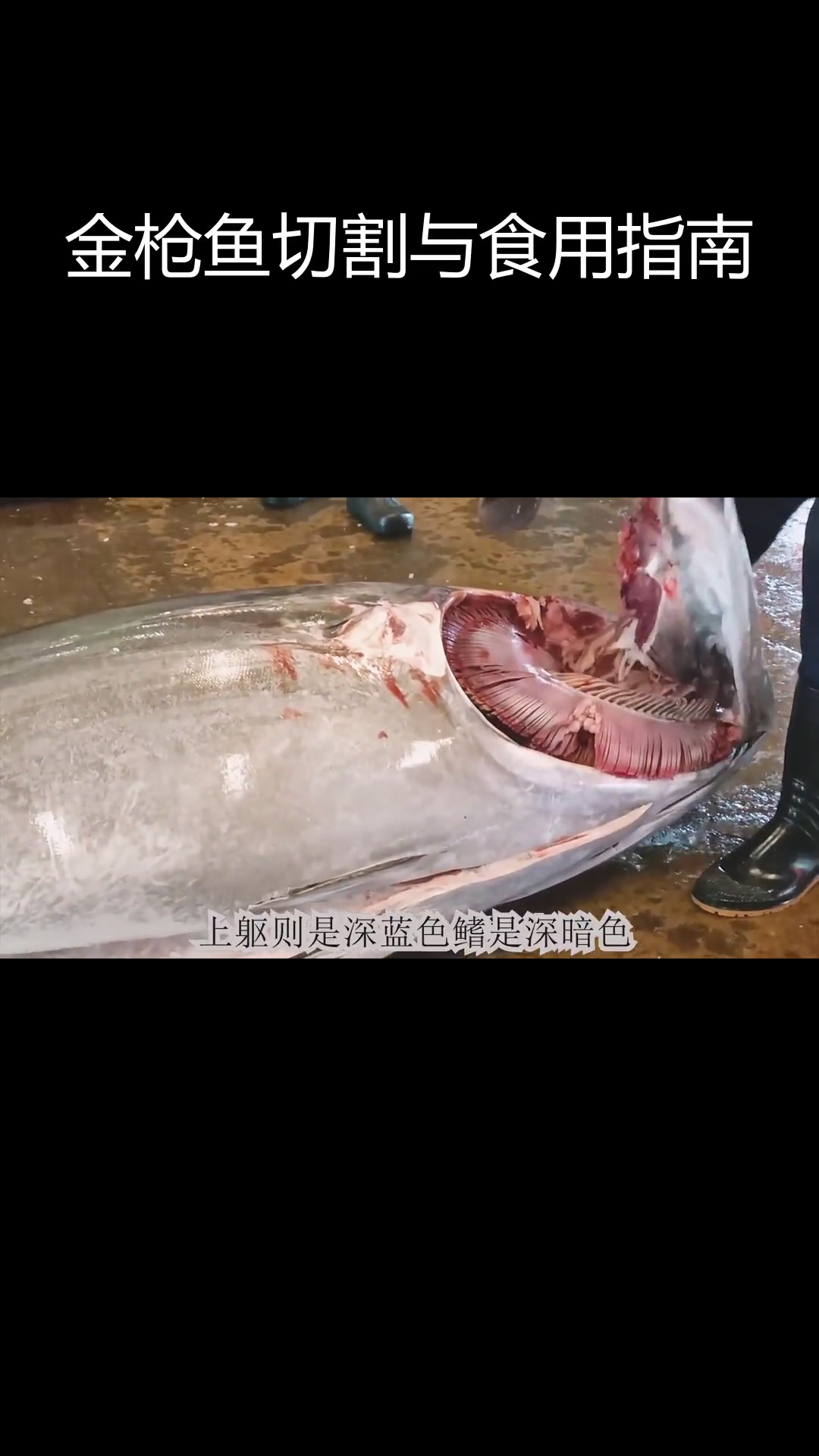 蓝鳍金枪鱼全解:各部位吃法与制作技巧