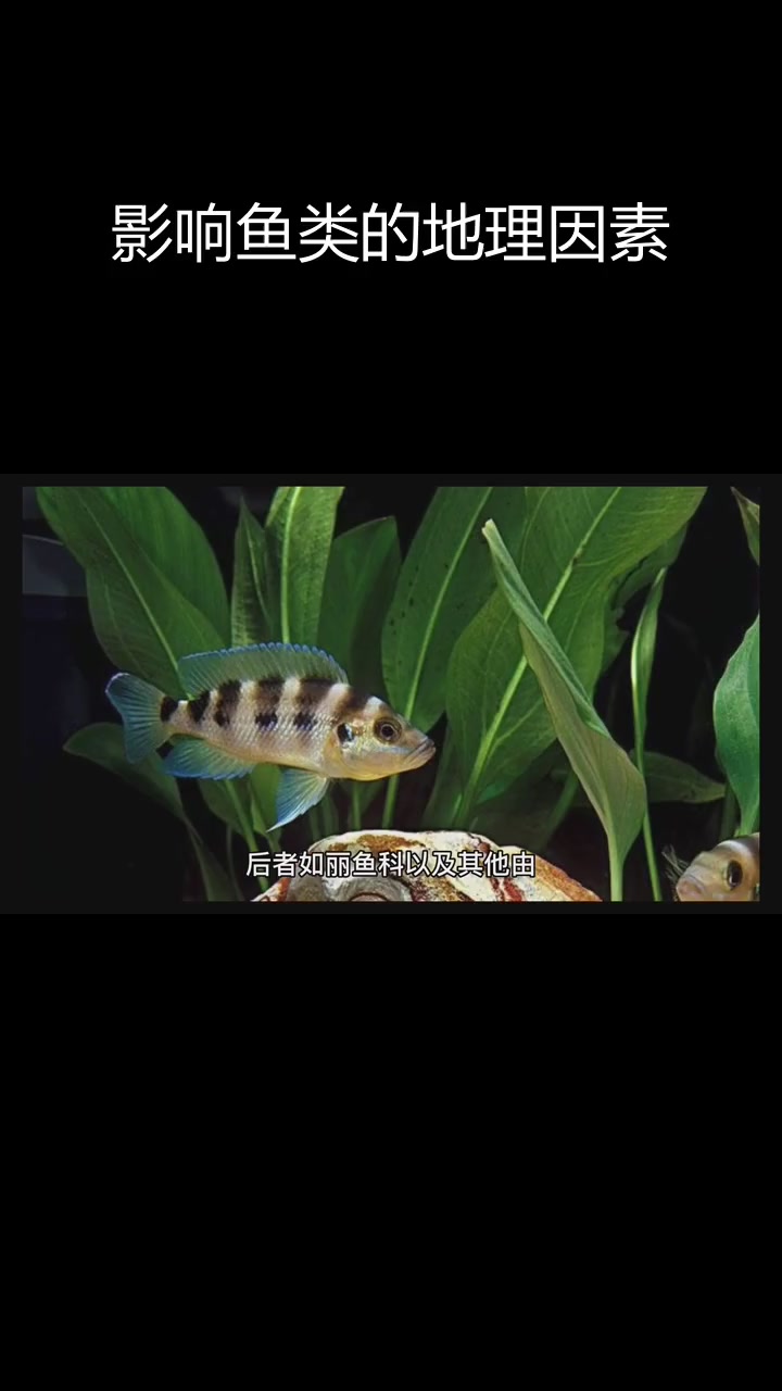 鱼类分布与海洋环境的关系