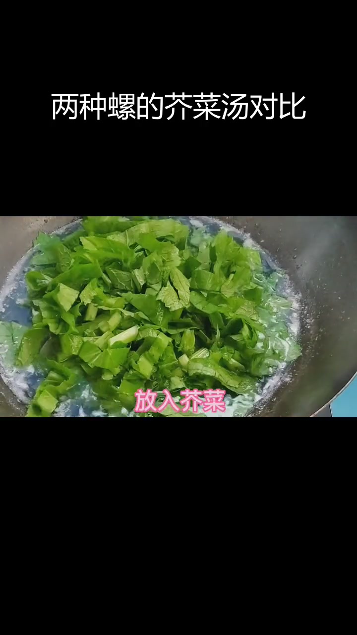 车螺与花甲螺煮芥菜汤,哪种更好喝?