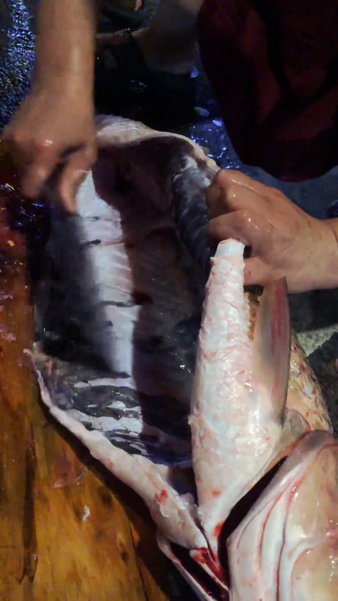 (上集)今天挑战一下13斤水库大草鱼,活鱼现熏