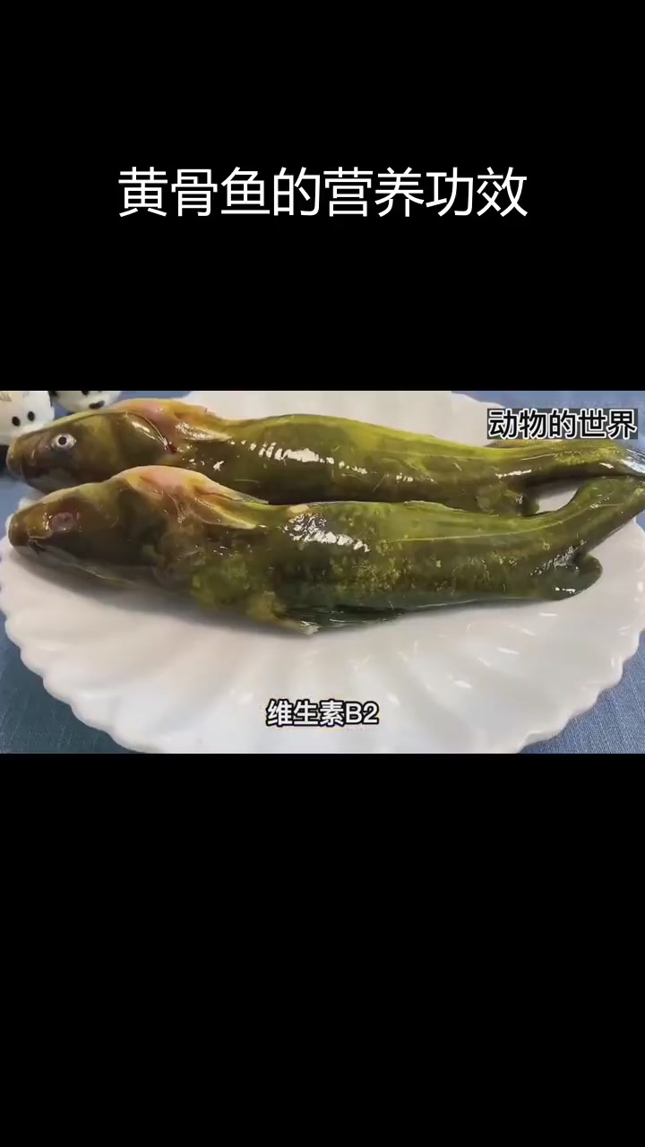 黄骨鱼的营养价值与做法揭秘,吃对了更健康
