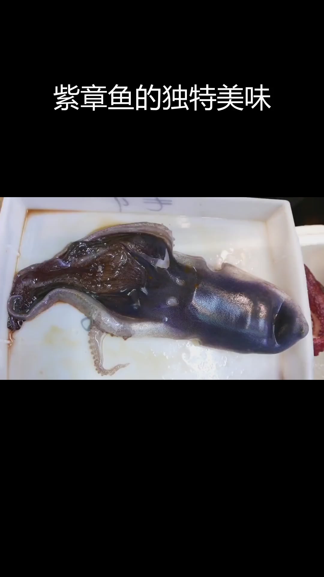 紫色章鱼,鲜美至极