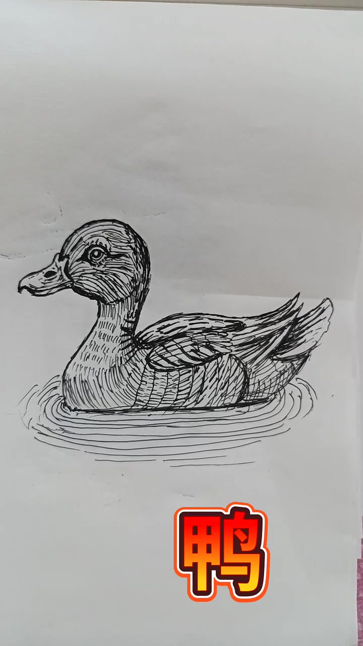 黑白线描画