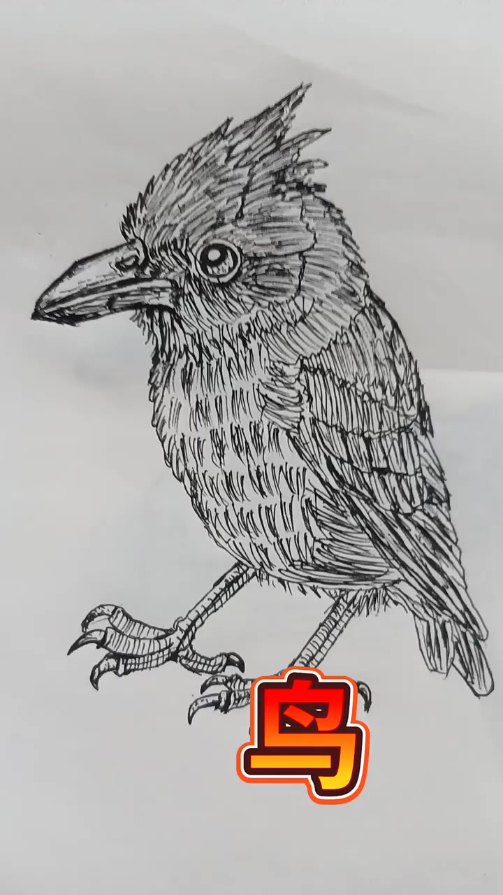 黑白线描画
