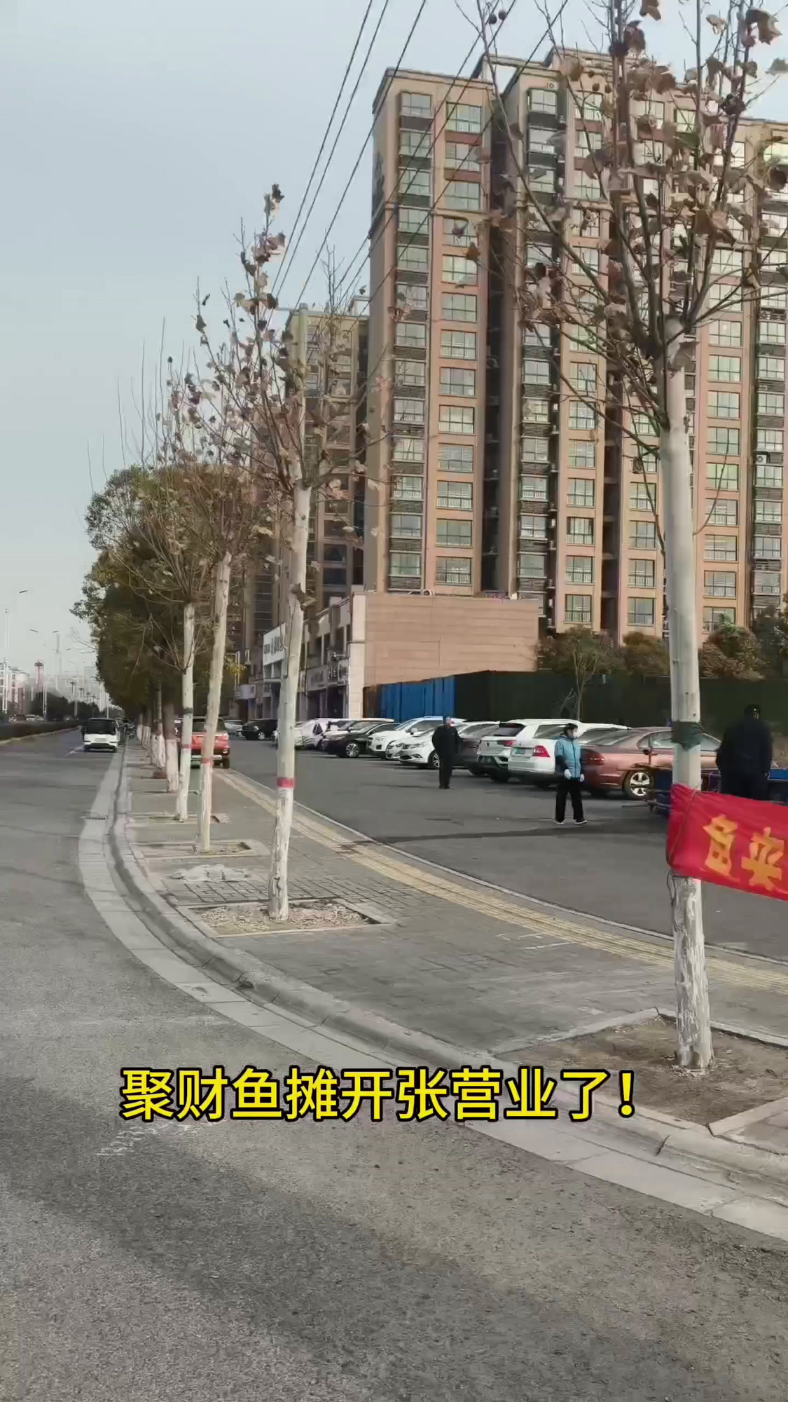 丹江鱼草鱼7.5元一斤青鱼8.5元一个