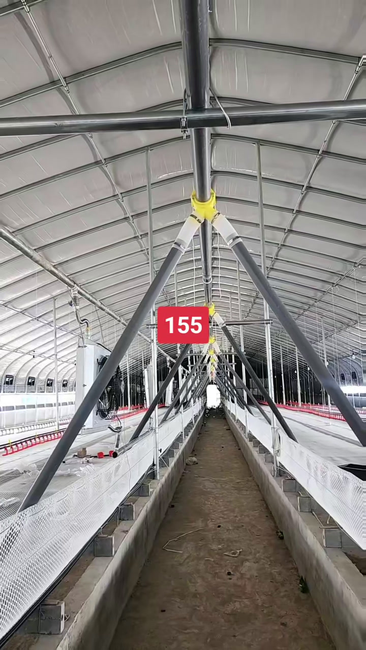 新型养殖大棚 肉鸭养殖 专业建棚 养鸭人