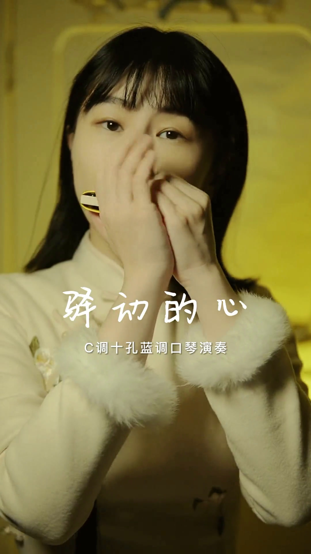 咱就是说,这手震音也太适合这首歌了吧!口琴驿动的心经典老歌口琴教学