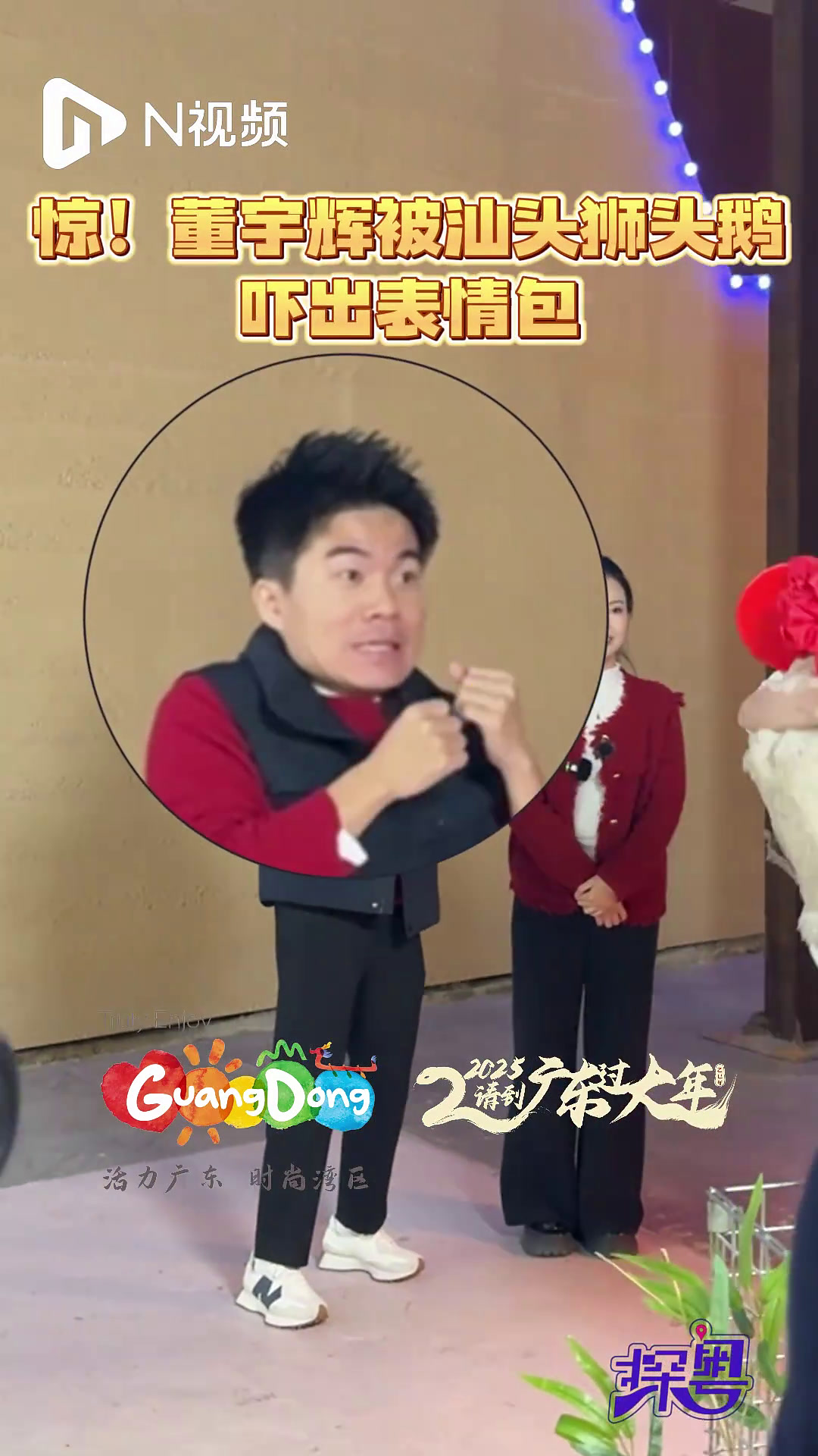 “鹅王打扰了!”董宇辉被汕头狮头鹅“惊出表情包”