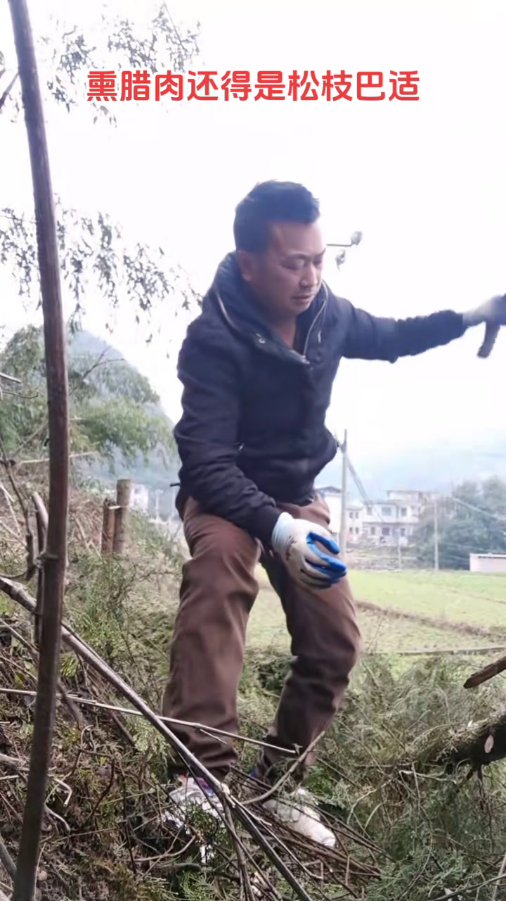 自己动手做的腊肉吃起来才有味道,由其是松枝烤出来的要好吃些