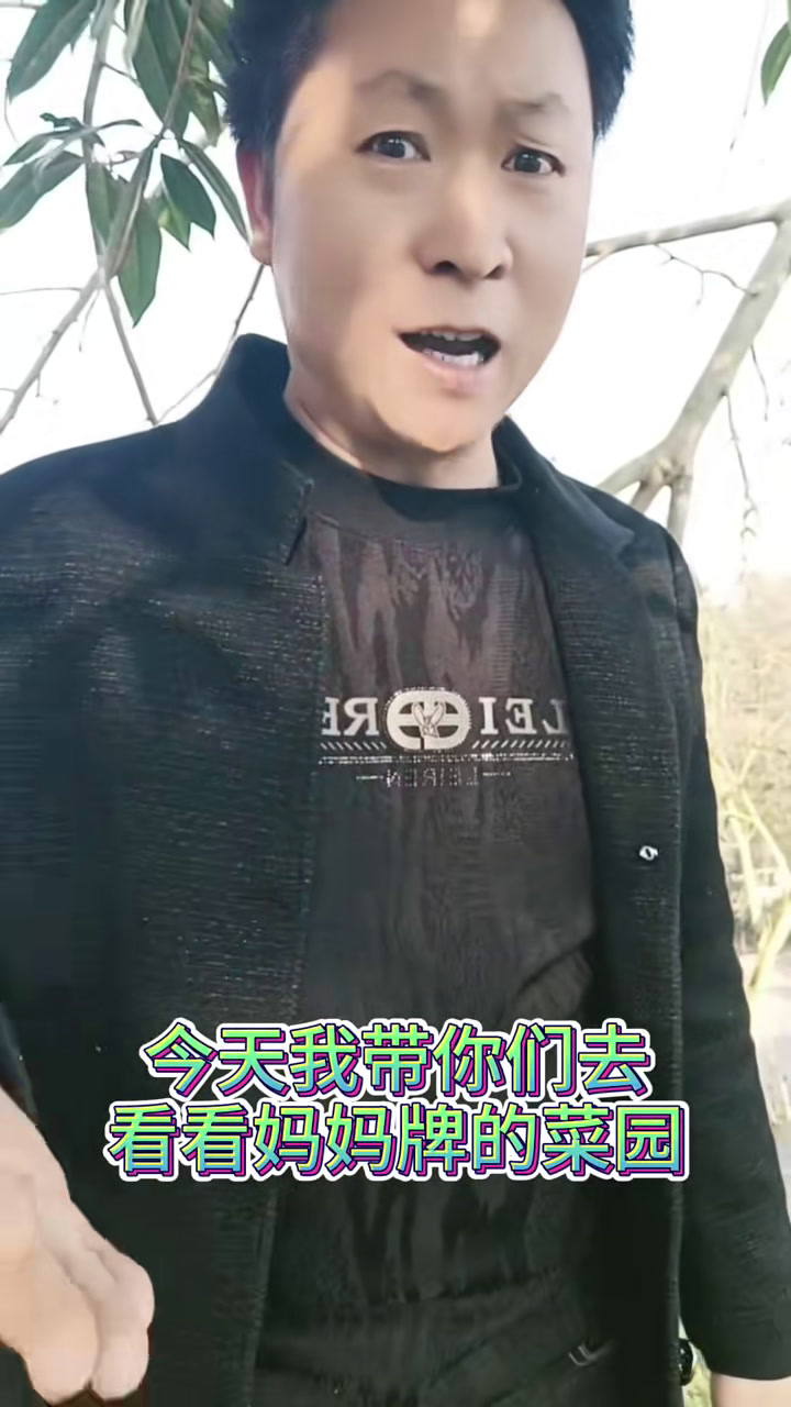 妈妈牌的菜园,妈妈的辛苦。儿子铭记于心