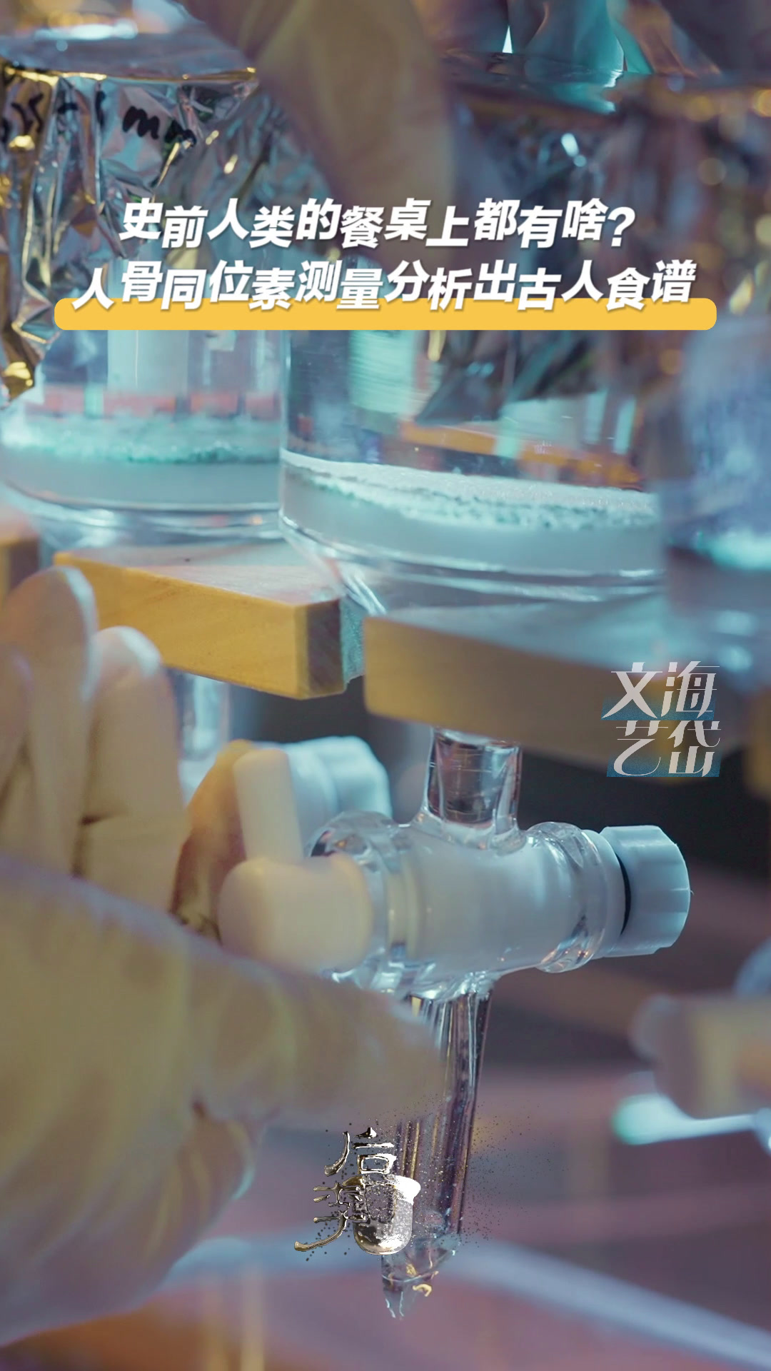 国宝研究院|考古专家通过人骨同位素测量分析出古人食谱