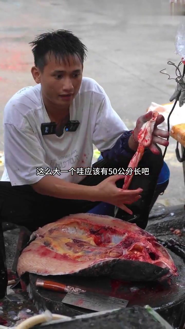 一条二十多斤的野生水库大青鱼,里面有一颗很大的鱼宝石